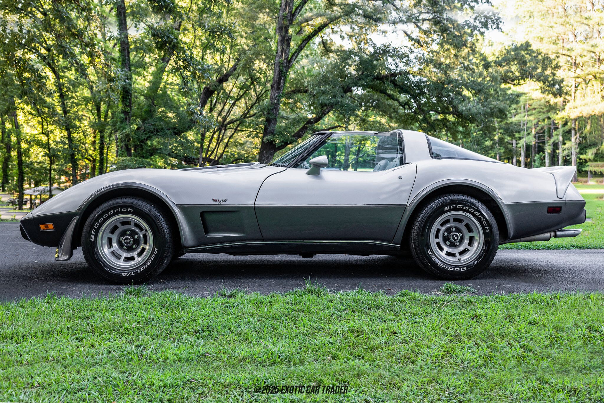 1978 Chevrolet Corvette 25th Anniversary Edition for Sale | Exotic